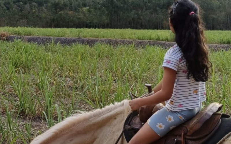 Passeio a Cavalo no Pôr do Sol