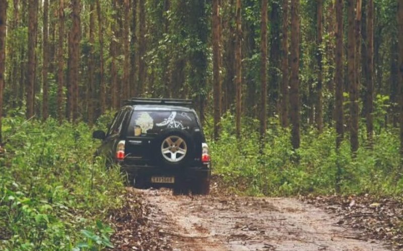 Tour Privativo 4x4 com Guia Local